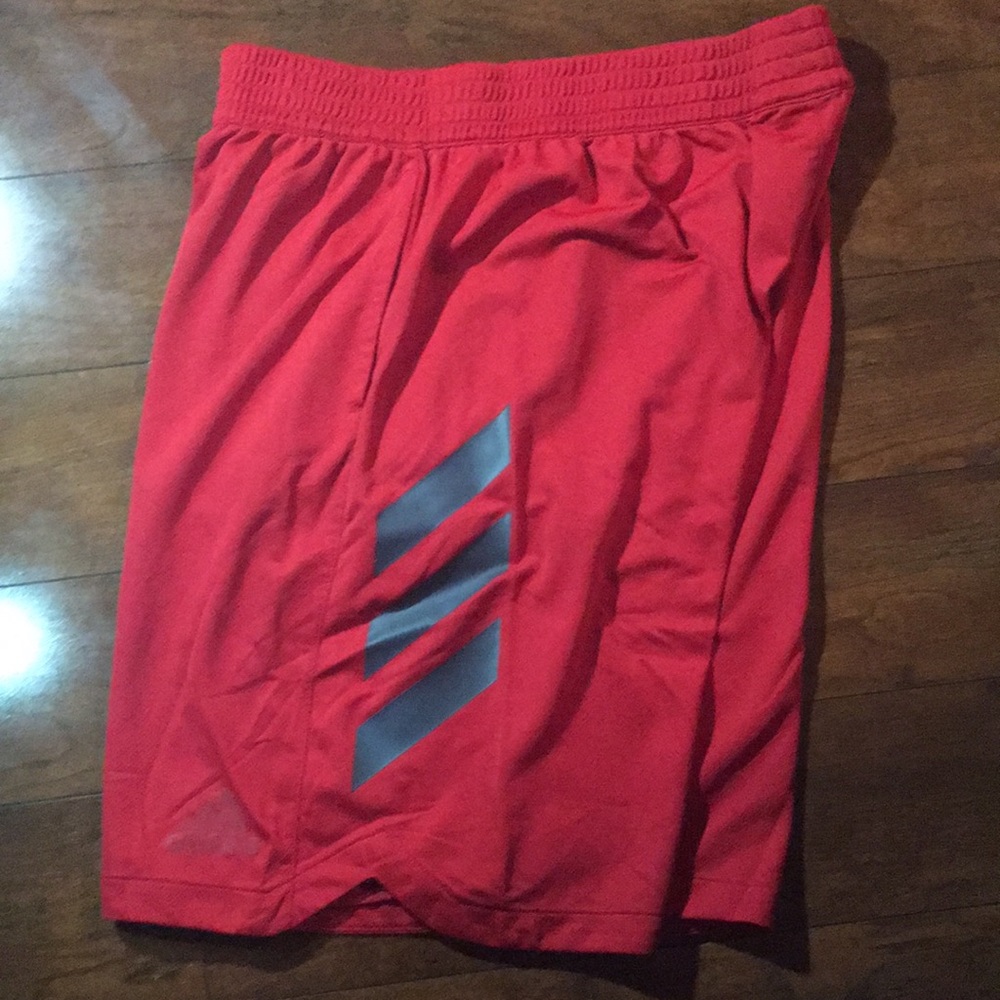 Shorts - Picture 2 of 3